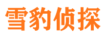 东西湖市私家侦探